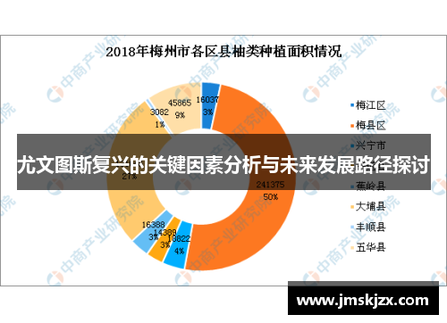 尤文图斯复兴的关键因素分析与未来发展路径探讨 尤文图斯复兴的关键因素分析与未来发展路径探讨