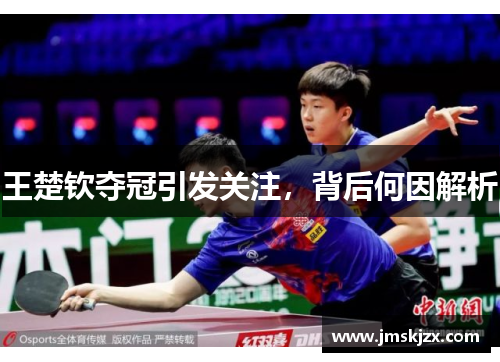 王楚钦夺冠引发关注，背后何因解析